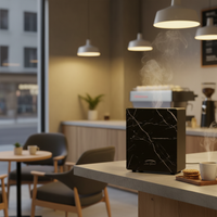 3000S Diffuser + Monthly Oil Membership